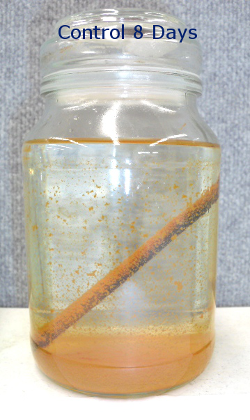 Product Test Control 8 Days Product Test Control 8 Days