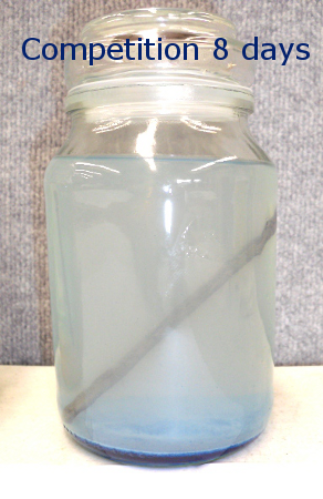 Product Test Salt-away 8 days Product Test Salt-away 8 days