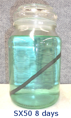 Product Test SX50 8 Days Product Test SX50 8 Days